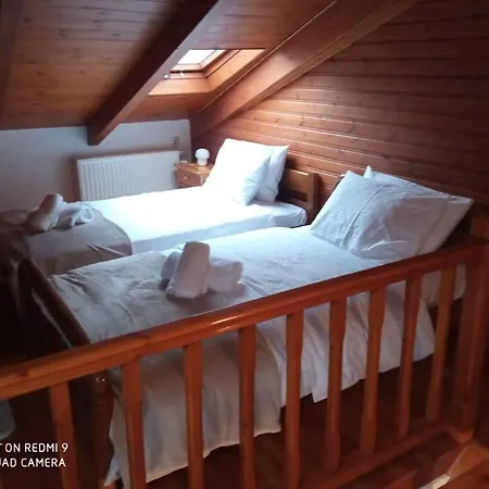 Agora Mansion Holiday home Arachova